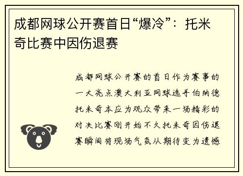 成都网球公开赛首日“爆冷”：托米奇比赛中因伤退赛